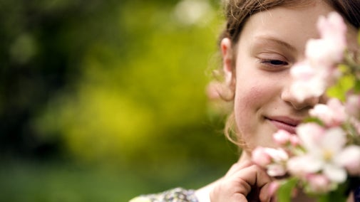 Close up photo of a child looking at a sprig of apple blossom